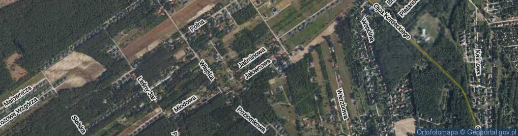 Zdjęcie satelitarne Jałowcowa ul.